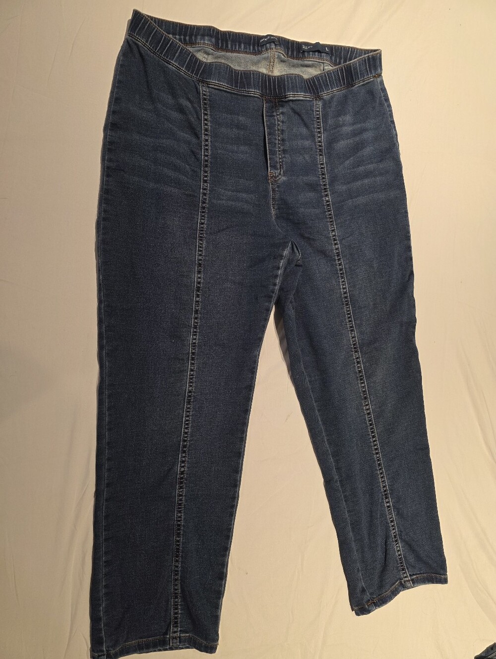 J. Jill Ankle Trouser Slim Leg Jeans Sz Large (12/14) Pull-on Stretch 26" Inseam
